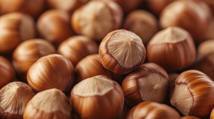 Fototapeta premium Closeup image shows many hazelnuts piled on a table