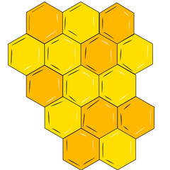 Honeycomb placed on the background
