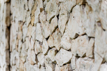 A wall made of white limestone, background and texture