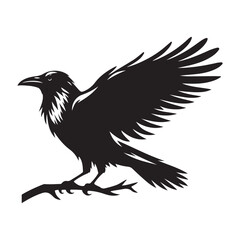 Crow Bird Silhouette Vector Illustration, Solid White Background.