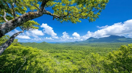 Lush Green Landscape Under Bright Blue Sky with Mountain Views