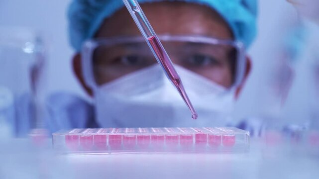 scientist dropping biochemical solution in to microplate for DNA analysis.