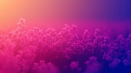 Fototapeta premium Abstract aurora landscape glowing dreamy sky with soft gradient hues blending vivid colors for atmospheric backgrounds and wallpapers design
