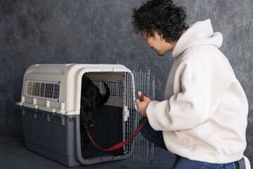 クレート訓練をする大型犬