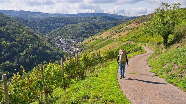 Hiker trekking on rural path next to scenic vineyards and rolling hills, parallax tracking movement, Rhine Valley, Germany