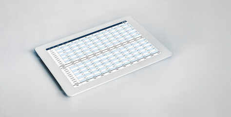 Accounting software on computer screen showing financial statement spreadsheets and account balance...