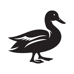 Duck Bird Silhouette Vector Illustration, Solid White Background.
