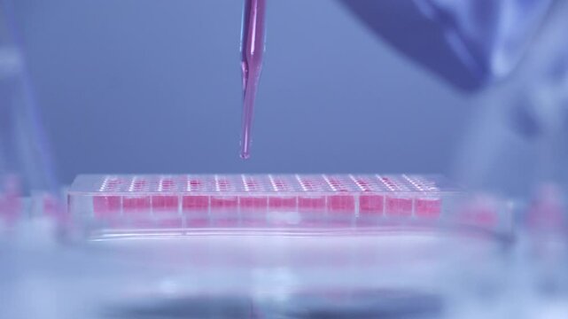 scientist dropping biochemical solution in to microplate for DNA analysis.