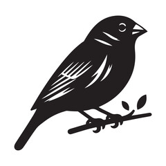 Finch Bird Silhouette Vector Illustration, Solid White Background.