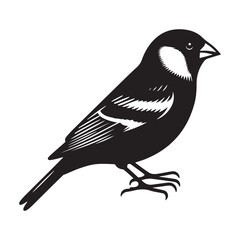 Finch Bird Silhouette Vector Illustration, Solid White Background.