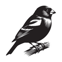 Finch Bird Silhouette Vector Illustration, Solid White Background.