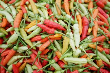 Close-Up of Colorful Assorted Chili Peppers Showcasing Variety in Fresh Produce