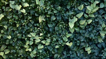 wall of tropical leaves with varying shades of green 