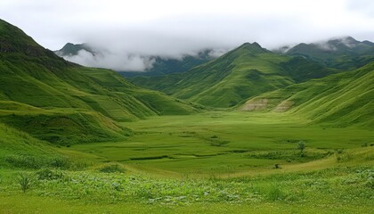 Obraz premium Serene Green Valley Landscape Under an Overcast Sky
