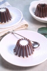 Homemade Dessert Puding coklat or chocolate pudding on white background, have a sweet taste. Made from jelly, cocoa powder, sugar, and milk.

