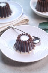 Homemade Dessert Puding coklat or chocolate pudding on white background, have a sweet taste. Made from jelly, cocoa powder, sugar, and milk.
