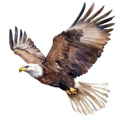 Obraz premium Majestic bald eagle soaring above mountains wildlife art natural habitat aerial perspective