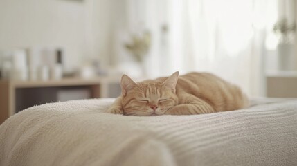 Nerve therapy in a minimalist wellness clinic. Featuring recovery and comfort