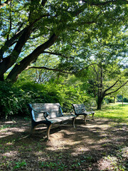 木漏れ日のベンチ