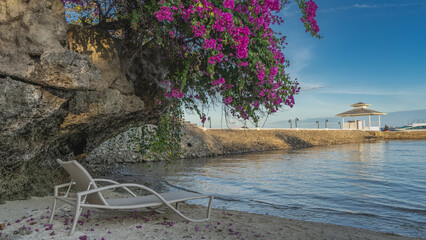 A chaise longue on a sandy beach by the ocean. On an overhanging cliff is a bush of blooming...