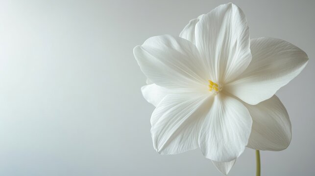 Nerve therapy in a peaceful wellness clinic. Featuring healing and recovery