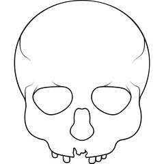 Skull Icon