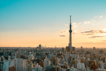 Tokyo sky tree and Tokyo city at sunrise at Tokyo, Japan.