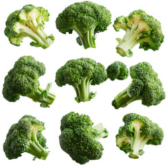 Lettuce & Leafy Vegetables PNG cutout isolated on white and transparent background.

