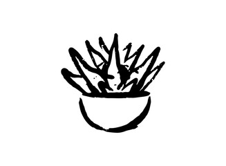 Illustration of an Indoor Succulent Houseplant Decoration