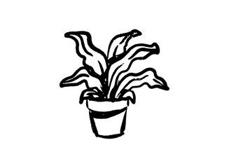 Illustration of an Indoor Houseplant Decoration