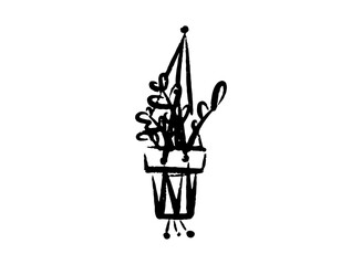 Illustration of an Indoor Hanging Houseplant Decoration