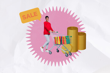 Exclusive sketch collage of happy american girl carry trolley shopper purchase coin payment bargain...