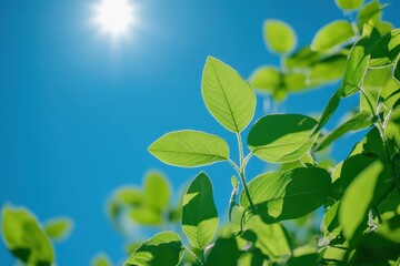 Bright green leaves against a sunny blue sky. Perfect for spring, nature, and eco-friendly themes.