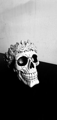 carnival mask on black background
