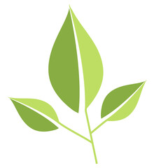 Eco icon three green leaves flat