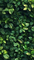 Obraz premium Green leaves forming a dense and healthy textured natural background