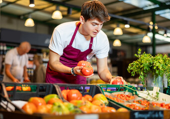Focused young salesman in maroon apron working in fruit and vegetable section of supermarket, laying out ripe tomatoes on display stand..