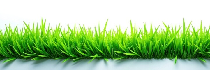 Obraz premium Bright, emerald green grass patch, cleanly cut against white , ecology, green