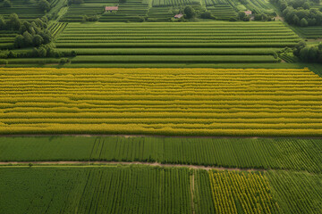Aerial view of a large and diverse farm surrounded by a lush forest. Agriculture, organic farming, natural life.