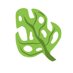 vector illustration of a green leaf