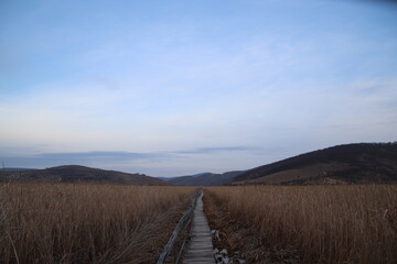 Wooden Path Amidst Dry Grass Leading Towards Distant Hills Below Blue Sky