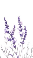 Delicate watercolor painting of purple lavender blossoms in bloom