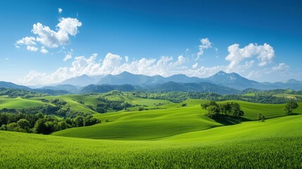 Fototapeta premium Lush Green Rolling Hills Under a Bright Blue Sky with Fluffy White Clouds and Majestic Mountains in the Distance Conveying Peace and Serenity