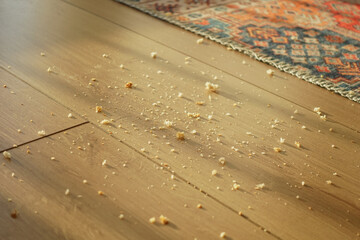 Obraz premium Dust and crumbs scattered on wooden floor near a colorful rug