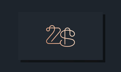 Minimal clip initial letter ZS logo.