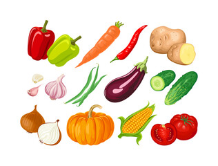 Vegetables set. Vector cartoon flat illustration.