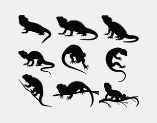 Obraz premium Bearded Dragon Silhouette Set Vector Template