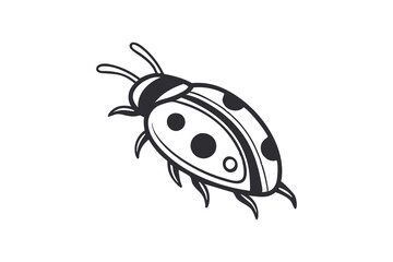ladybug on white background