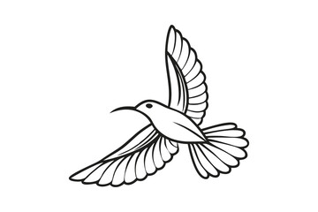 vector illustration of a flying bird