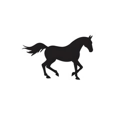 Fototapeta premium Silhouette of a Horse in Motion